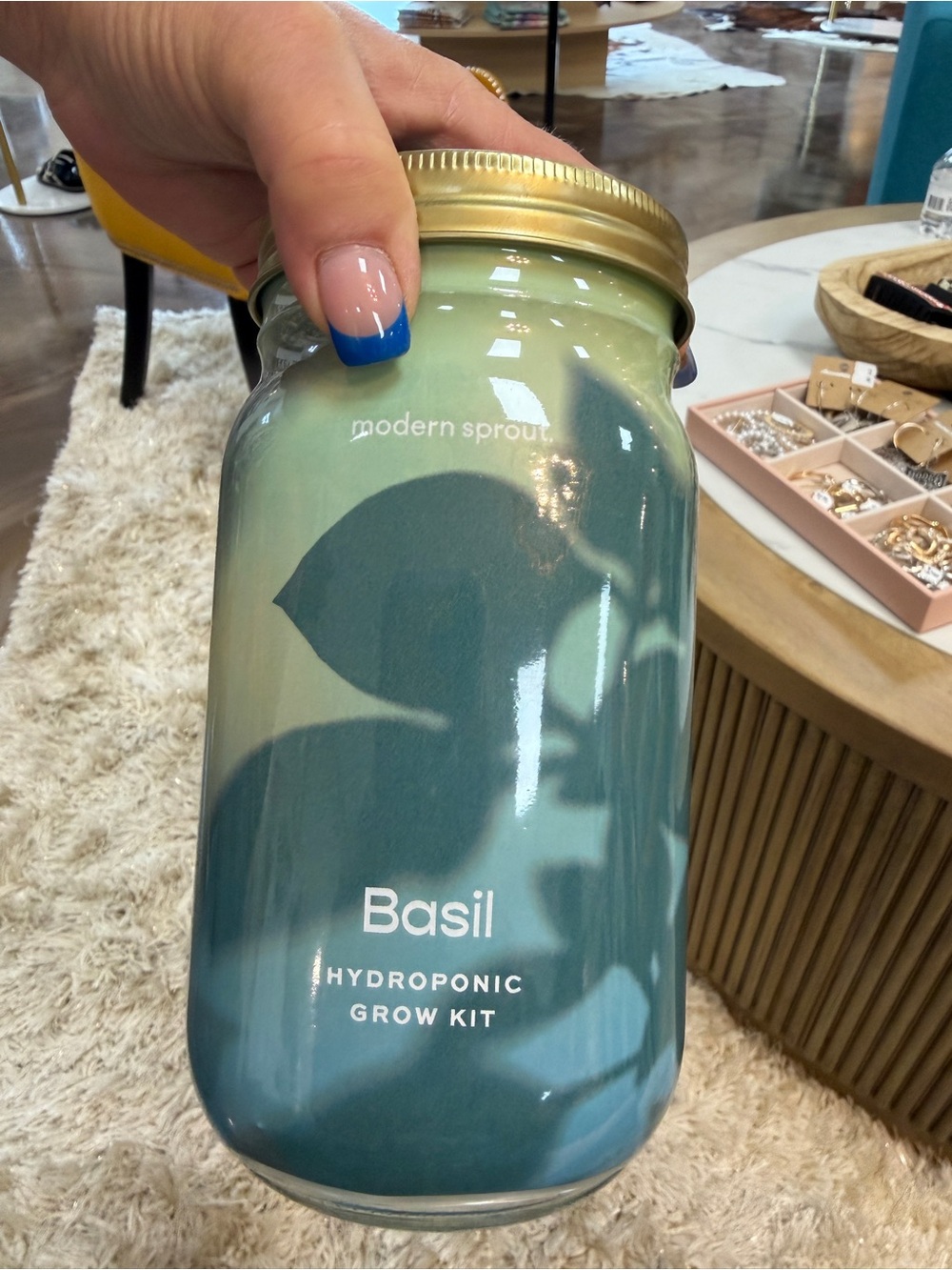 Basil Hydroponic Grow Kit - Green
